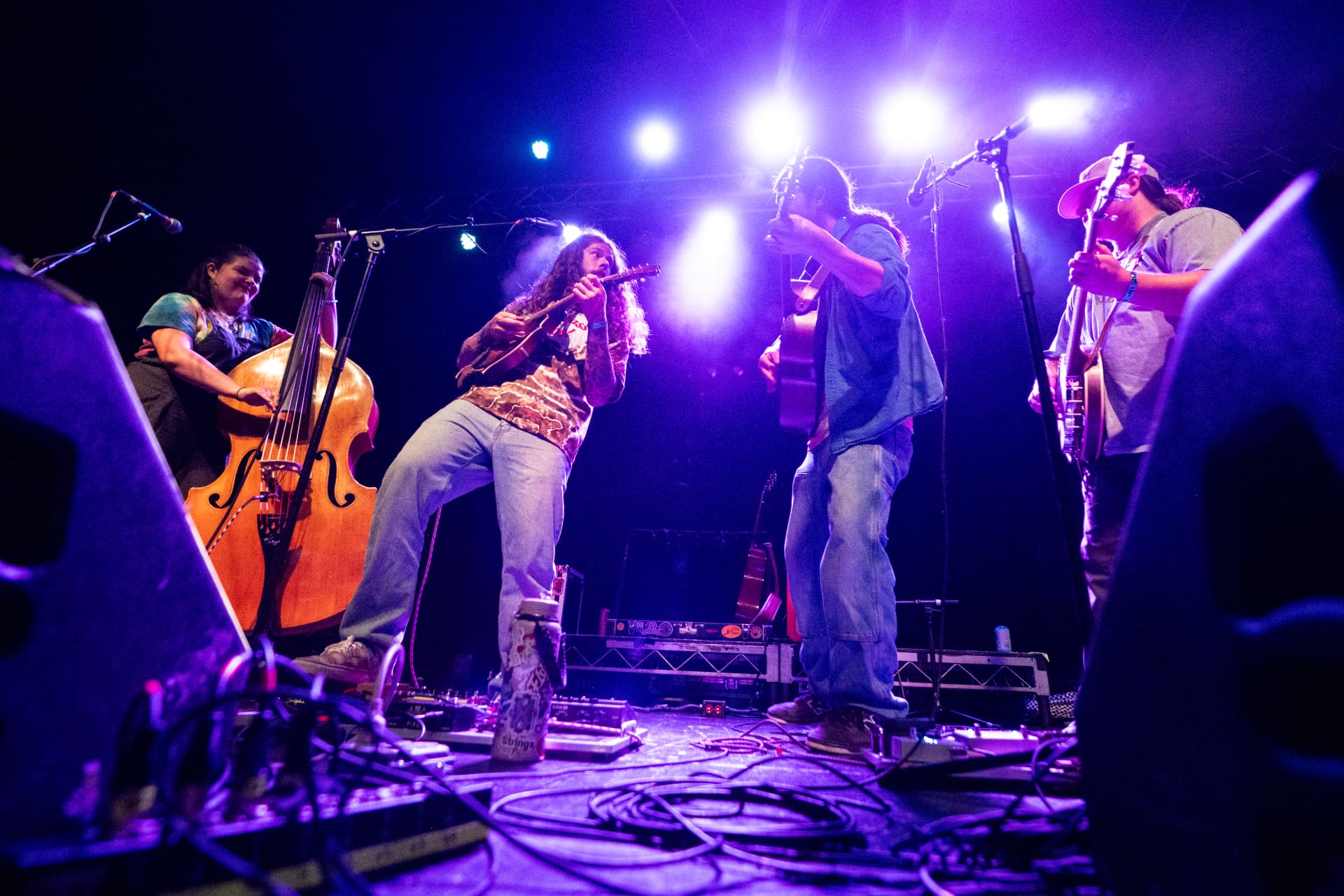 65 North Pickers