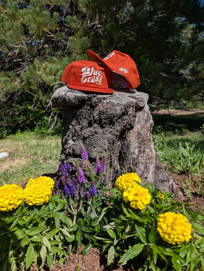 Mac and Grass Hat